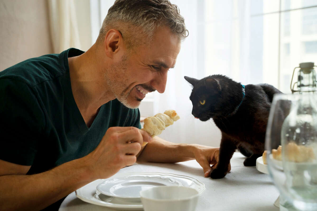 A person enjoying a meal while a cat rests beside them, creating a peaceful and cozy atmosphere.