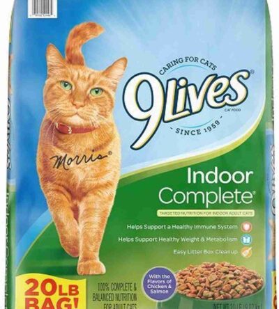 9Lives Indoor Complete Dry Cat Food bag with an orange cat, kibble images, and indoor health benefits displayed on teal-green packaging.