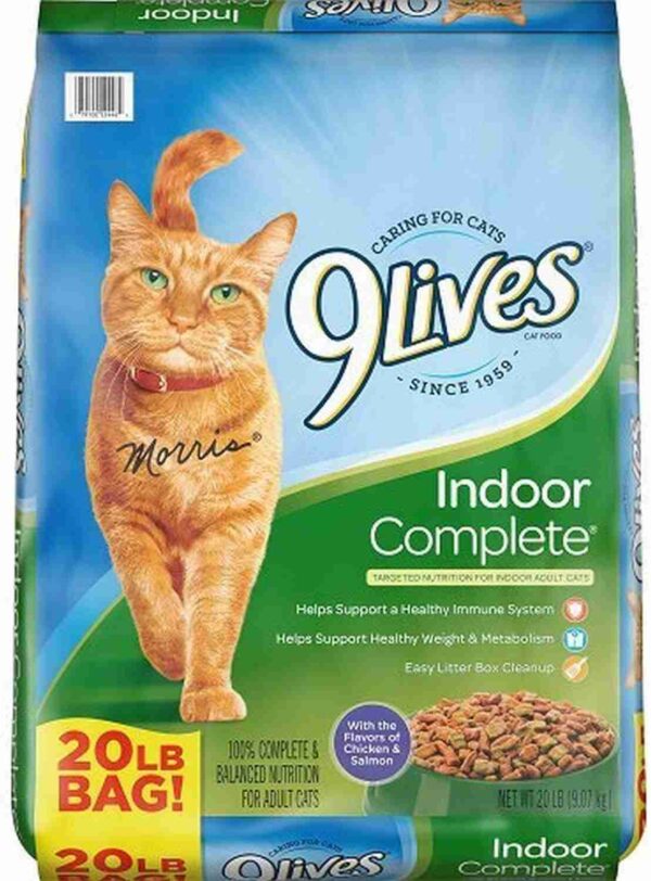 9Lives Indoor Complete Dry Cat Food bag with an orange cat, kibble images, and indoor health benefits displayed on teal-green packaging.