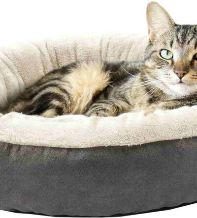 Fluffy cat resting in Love's cabin round donut cushion bed, surrounded by plush edges for warmth and comfort.