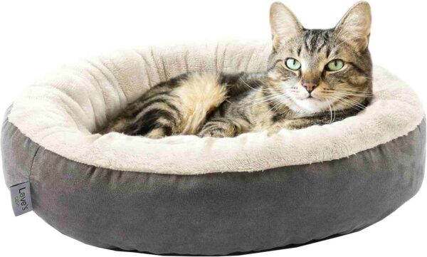 Fluffy cat resting in Love's cabin round donut cushion bed, surrounded by plush edges for warmth and comfort.
