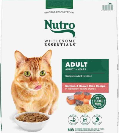 Nutro Wholesome Essentials Adult Dry Cat Food in a brown and green bag with a chicken illustration, placed on a white background.