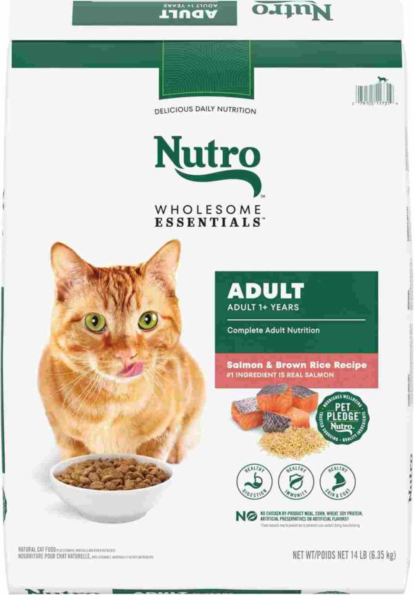 Nutro Wholesome Essentials Adult Dry Cat Food in a brown and green bag with a chicken illustration, placed on a white background.