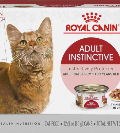 Royal Canin Adult Instinctive Wet Cat Food pouch with meat slices in gravy, shown beside a white ceramic bowl on a clean, minimal surface.