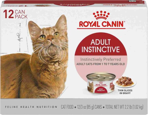 Royal Canin Adult Instinctive Wet Cat Food pouch with meat slices in gravy, shown beside a white ceramic bowl on a clean, minimal surface.