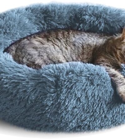 A fluffy tabby cat sleeping peacefully in the round, plush Whiskers & Friends Cat Bed.