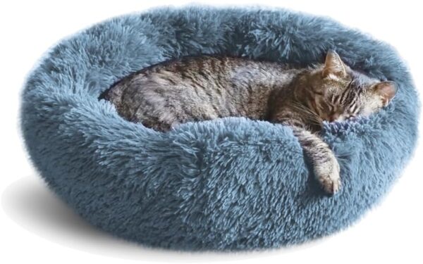 A fluffy tabby cat sleeping peacefully in the round, plush Whiskers & Friends Cat Bed.