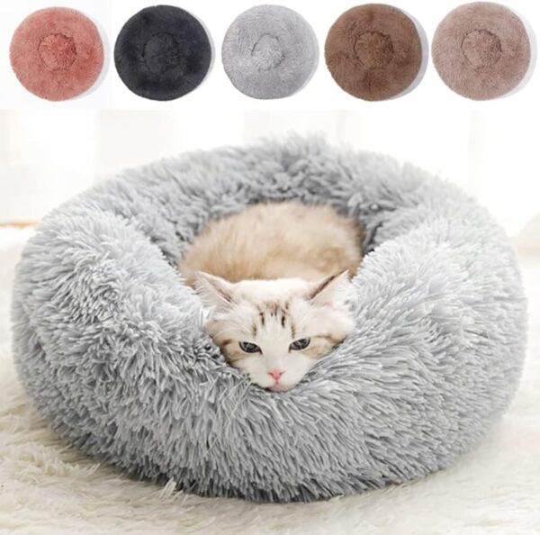 Cat Beds for Indoor Cats