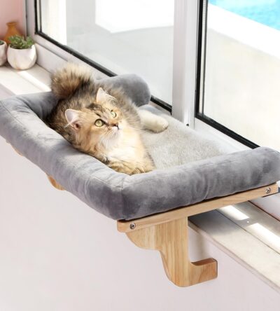Cat lounging on a cushioned window perch with soft bolster, enjoying the outdoor view.