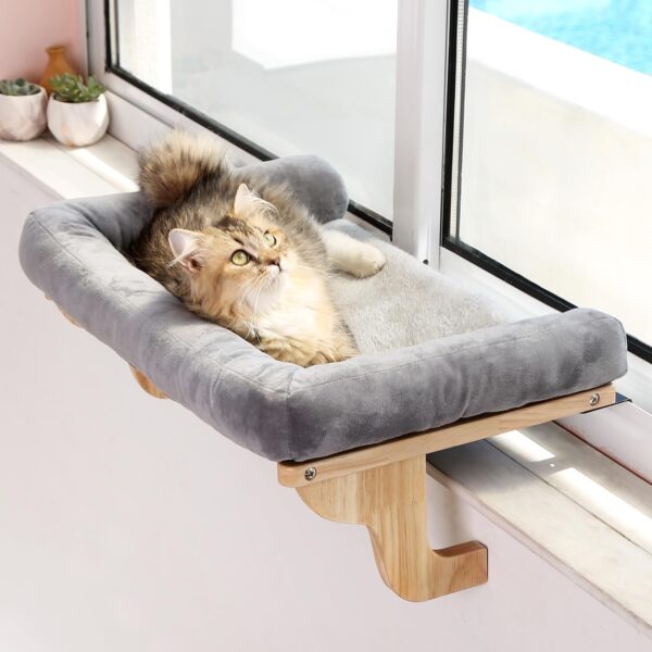 Cat lounging on a cushioned window perch with soft bolster, enjoying the outdoor view.