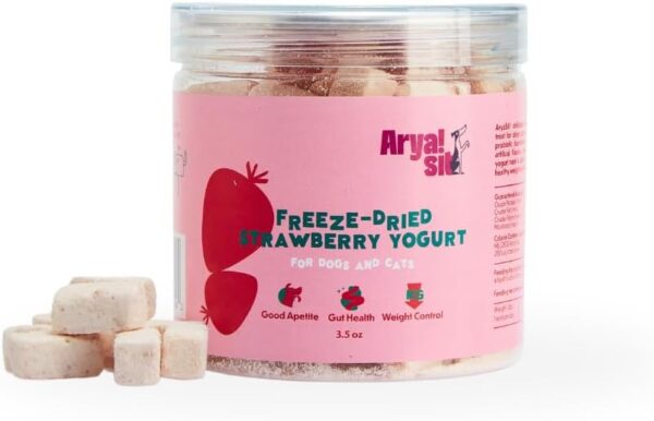 A clear jar labeled "Arya!Sit Freeze-Dried Strawberry Yogurt" pet treats for dogs and cats, with small cube-shaped treats visible inside and outside the container.