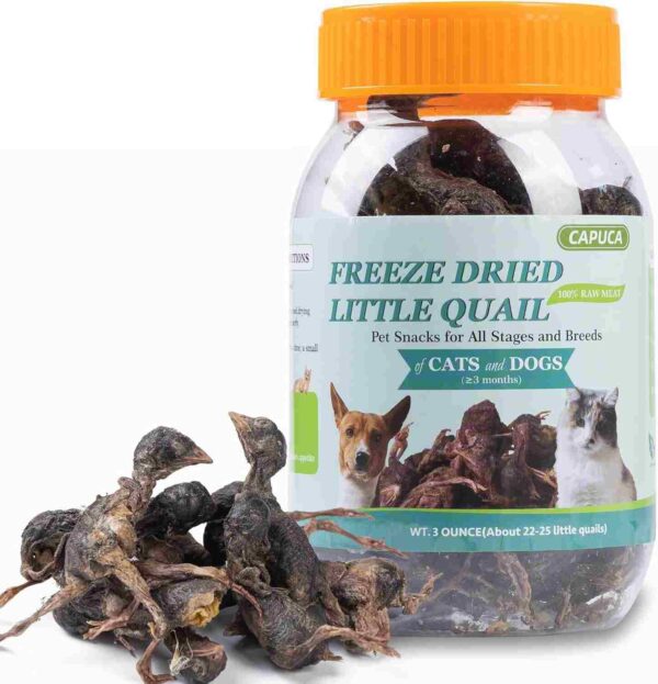 Jar of Capuca Freeze-Dried Little Quail treats for cats and dogs, with several whole dried quail pieces placed in front of the container.