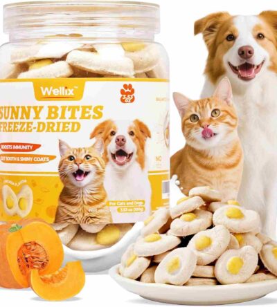 Wellix Sunny Bites Freeze-Dried Chicken Treats for cats and dogs with natural pumpkin, shown in a clear jar with pet images and a bowl of treats.