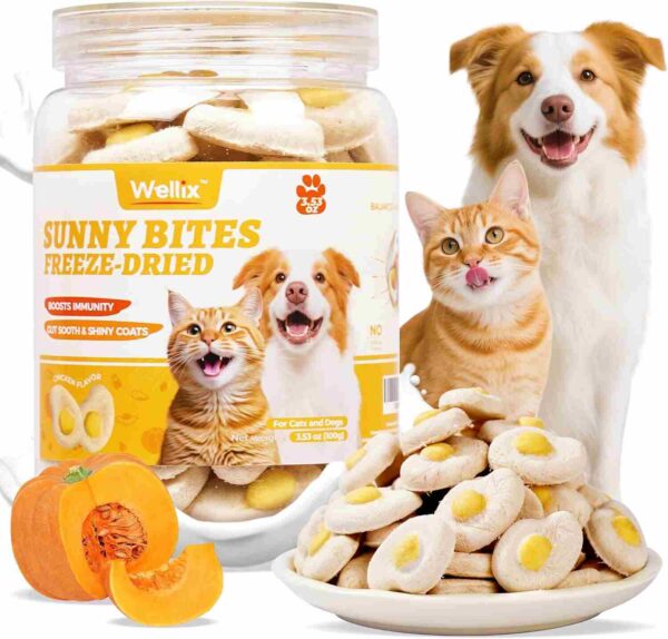 Wellix Sunny Bites Freeze-Dried Chicken Treats for cats and dogs with natural pumpkin, shown in a clear jar with pet images and a bowl of treats.