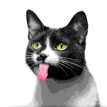 A cute black and white cat with its tongue playfully sticking out, captured in a selective-focus black and white photograph.