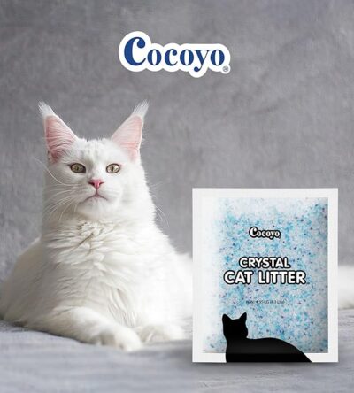 A large white fluffy cat next to a bag of Cocoyo Crystal Cat Litter. The bag is white with blue specks and a black cat silhouette.