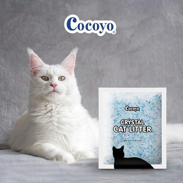 A large white fluffy cat next to a bag of Cocoyo Crystal Cat Litter. The bag is white with blue specks and a black cat silhouette.
