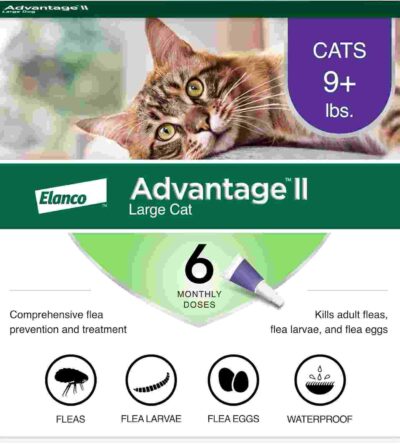 Advantage II flea treatment for large cats over 9 lbs, 6 monthly doses for flea prevention
